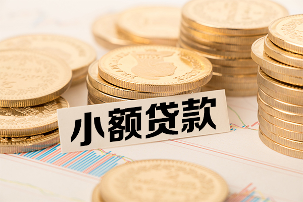 成都23小额贷款-成都23民间短期私借借款-成都23急需借钱可以找我